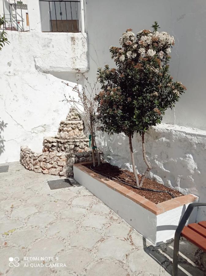 쥬헤로스 La Casita Tipica 빌라 외부 사진